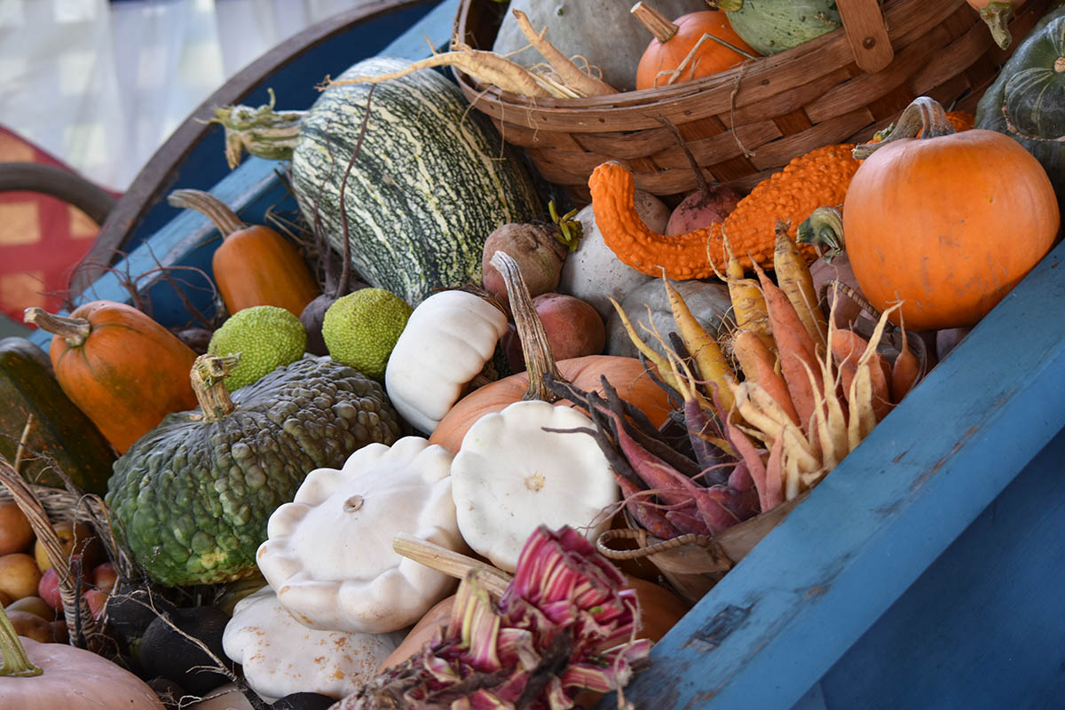 an assortment of squash on display