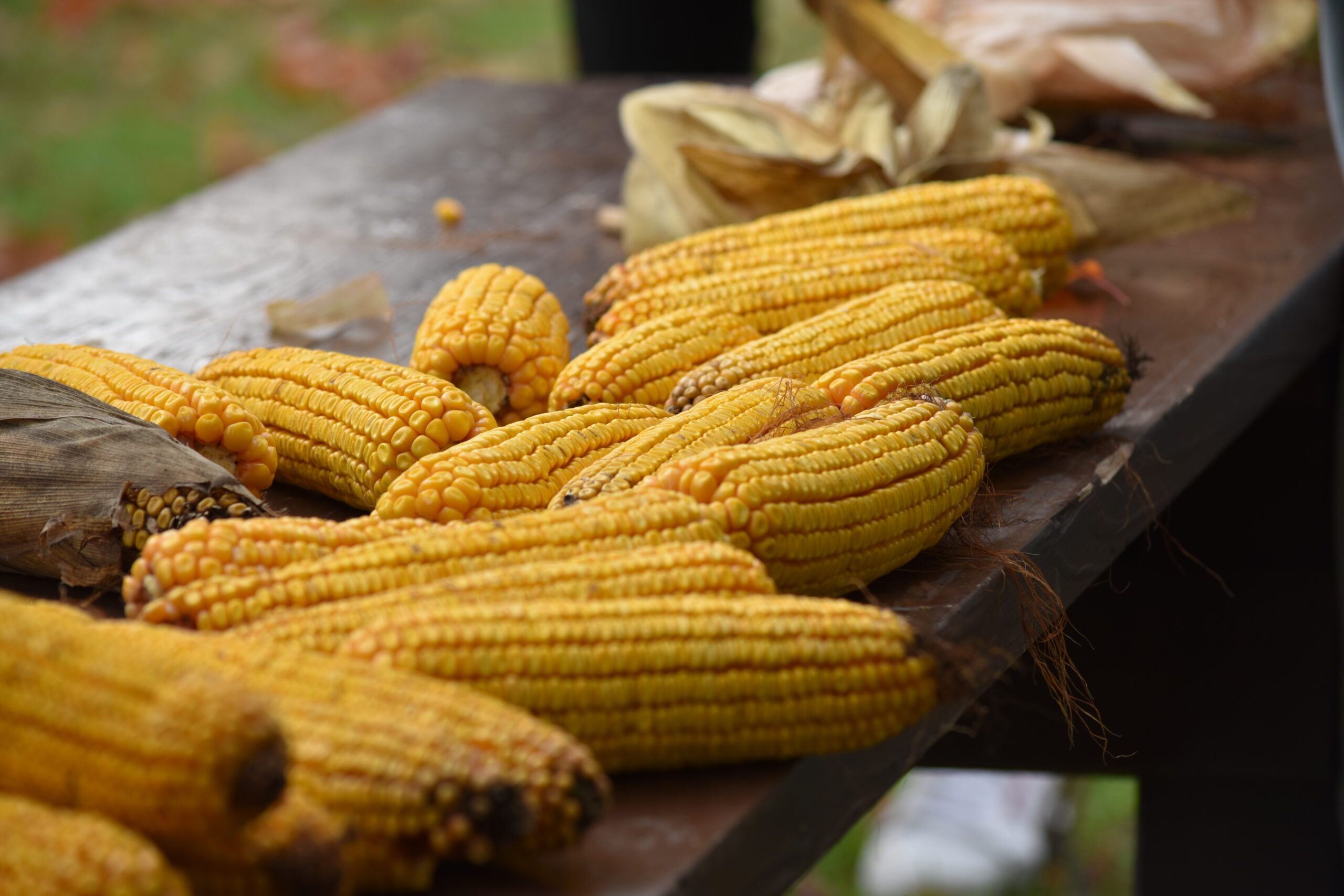 corn on the cob on a wooden table