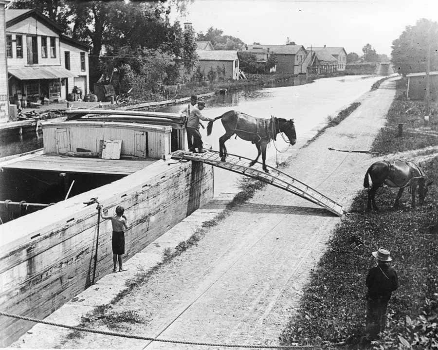 mule exiting a canal boat on a bridge