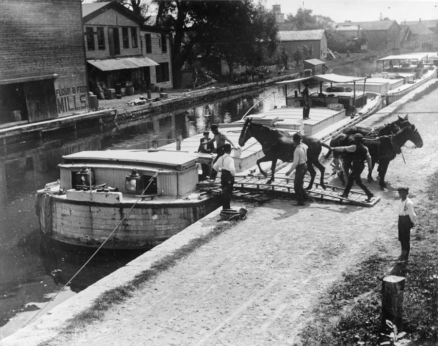 mules and workers on a canal boat